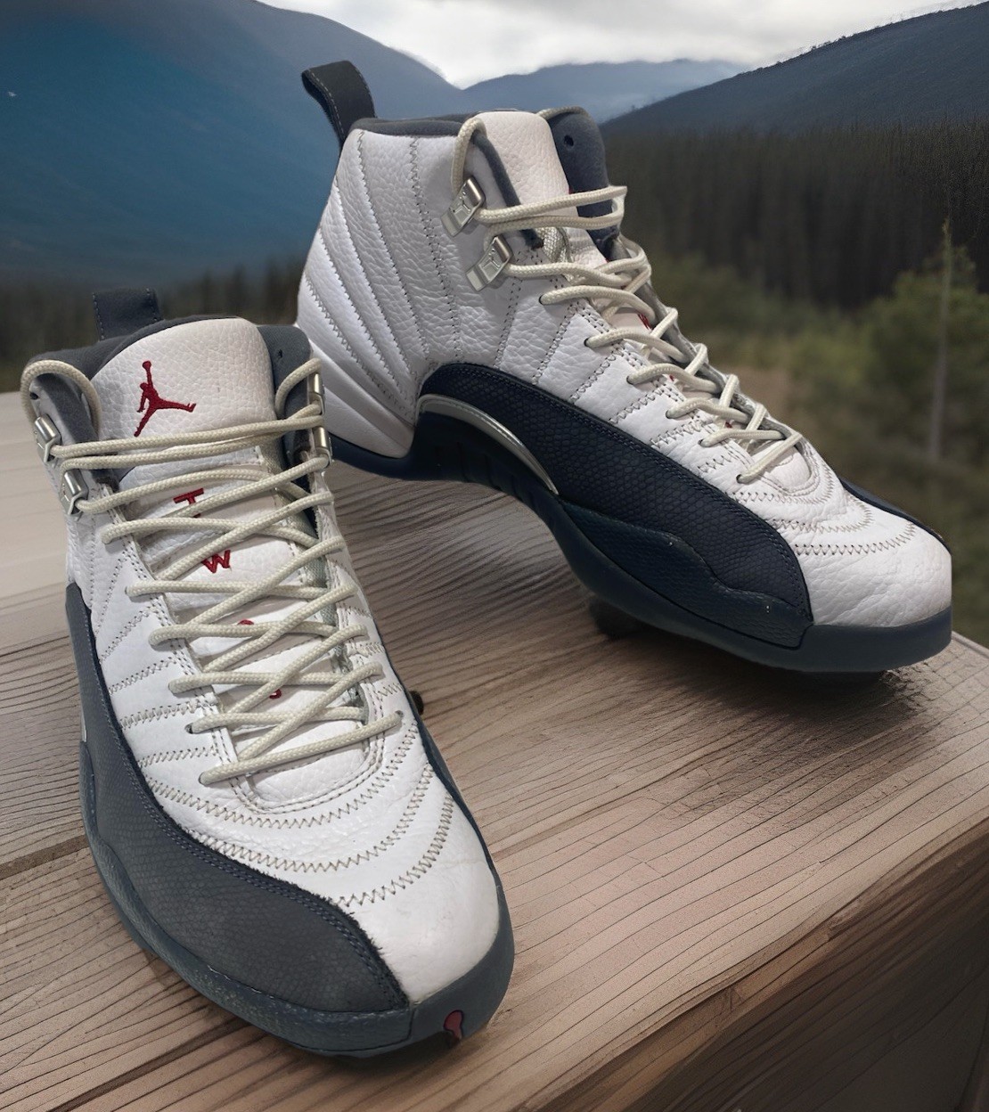2019 Air Jordan 12 Retro Dark Grey 130690-160 White Grey Flint Size 12 EXCELLENT